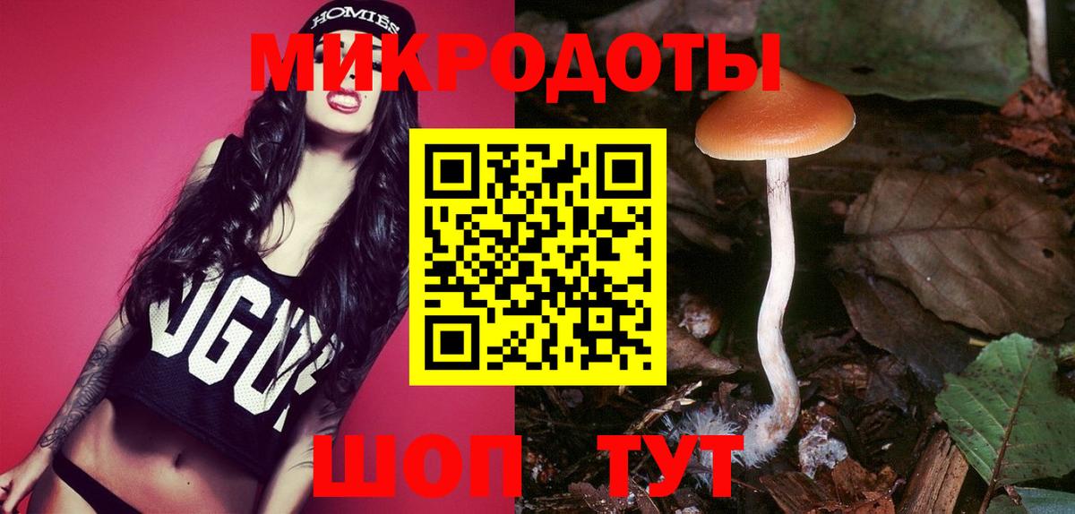 Кострома  Псилоцибиновые грибы Magic Shrooms  Вход с VPN 