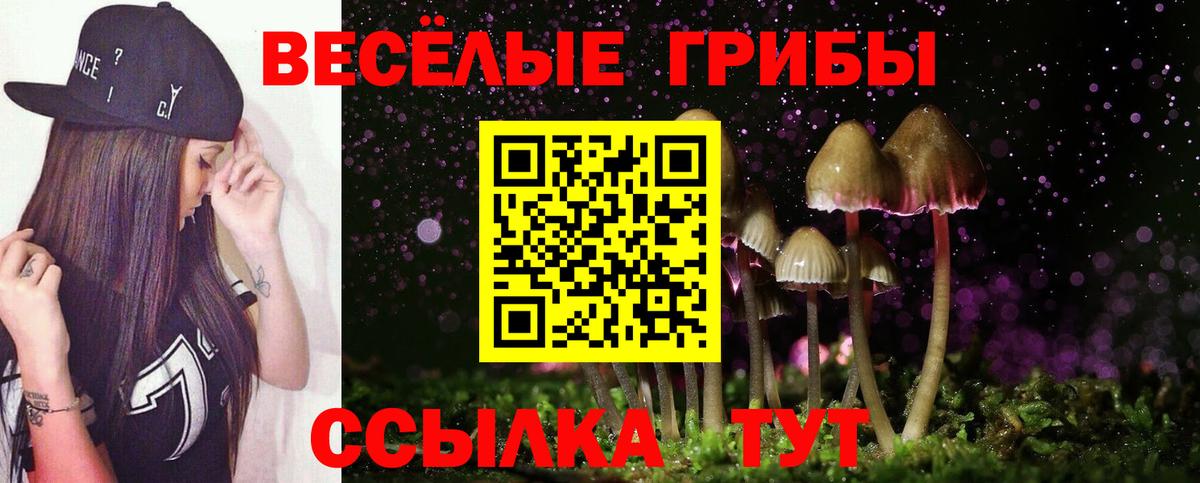 Alpha PVP СК кристаллы  COCAIN  Конопля  Вход с VPN  ГАШ  Кострома  Мефедрон   МДМА 